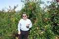 apple 004